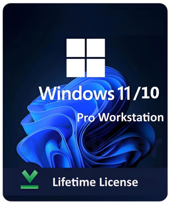 Windows 11 Pro Workstation