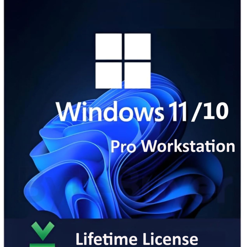 Windows 11 Pro Workstation